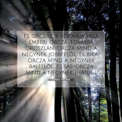 Ezékiel 1:10 Bibliai vers magyarázata