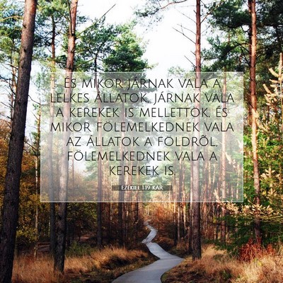 Ezékiel 1:19 Bibliai vers magyarázata