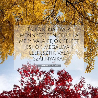 Ezékiel 1:25 Bibliai vers magyarázata