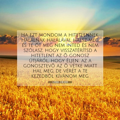 Ezékiel 3:18 Bibliai vers magyarázata