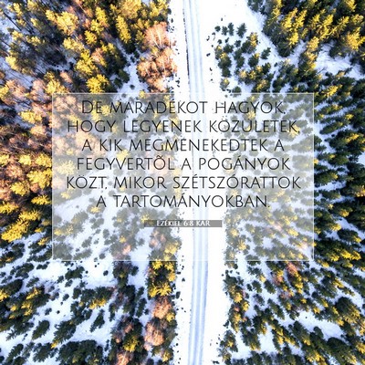 Ezékiel 6:8 KAR Bibliai verskép