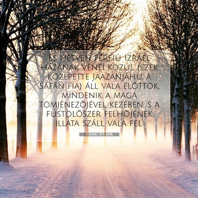 Ezékiel 8:11 KAR Bibliai verskép