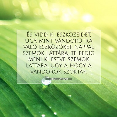 Ezékiel 12:4 Bibliai vers magyarázata