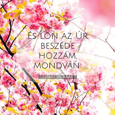 Ezékiel 20:2 Bibliai vers magyarázata