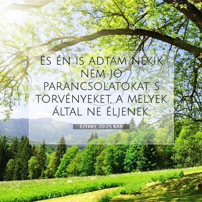 Ezékiel 20:25 Bibliai vers magyarázata