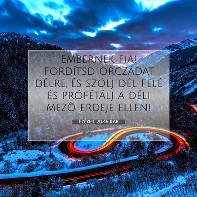 Ezékiel 20:46 Bibliai vers magyarázata