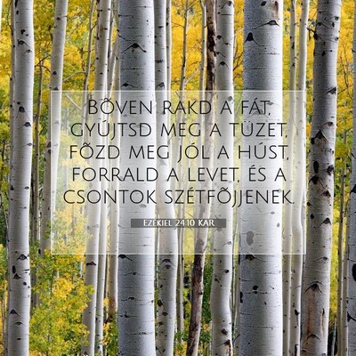 Ezékiel 24:10 Bibliai vers magyarázata