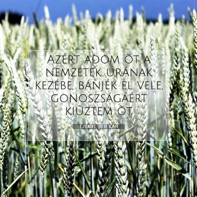 Ezékiel 31:11 Bibliai vers magyarázata