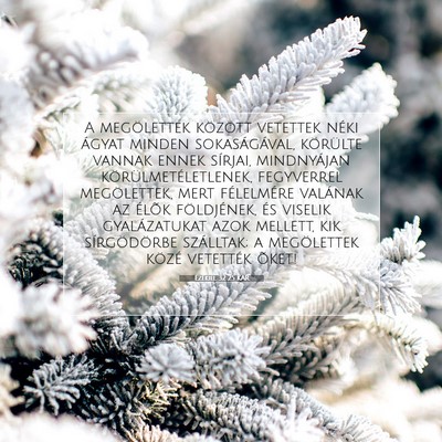 Ezékiel 32:25 Bibliai vers magyarázata