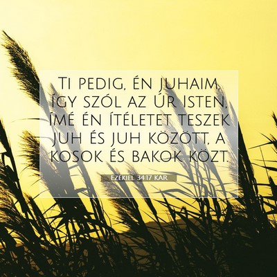 Ezékiel 34:17 Bibliai vers magyarázata