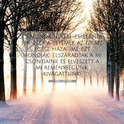 Ezékiel 37:11 Bibliai vers magyarázata