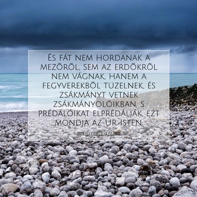 Ezékiel 39:10 Bibliai vers magyarázata