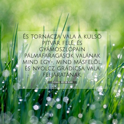 Ezékiel 40:34 Bibliai vers magyarázata
