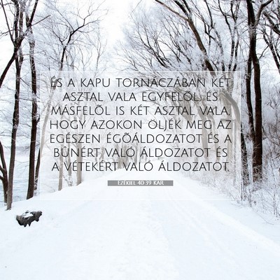 Ezékiel 40:39 Bibliai vers magyarázata