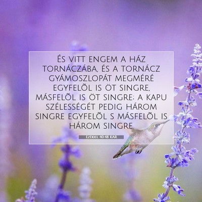 Ezékiel 40:48 Bibliai vers magyarázata