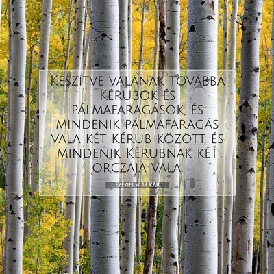 Ezékiel 41:18 Bibliai vers magyarázata