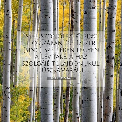 Ezékiel 45:5 Bibliai vers magyarázata
