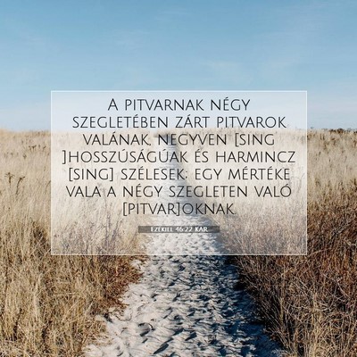 Ezékiel 46:22 Bibliai vers magyarázata