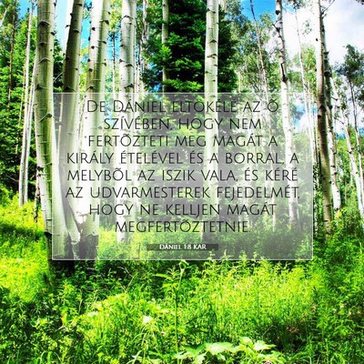 Dániel 1:8 Bibliai vers magyarázata
