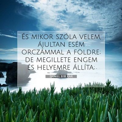 Dániel 8:18 Bibliai vers magyarázata