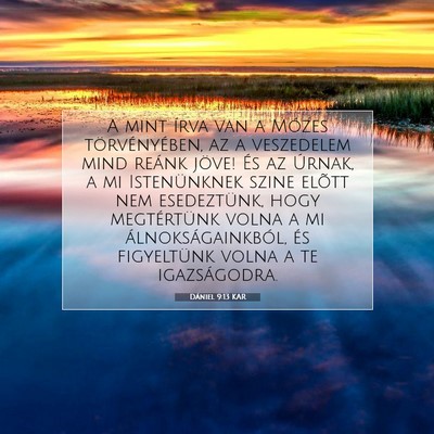 Dániel 9:13 Bibliai vers magyarázata