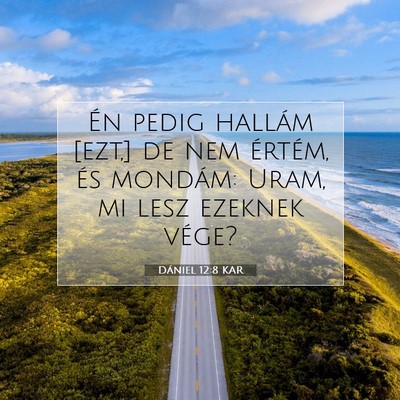 Dániel 12:8 Bibliai vers magyarázata