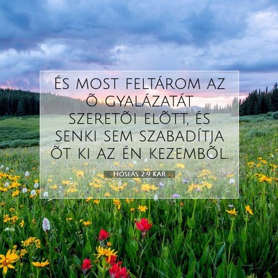 Hóseás 2:9 Bibliai vers magyarázata