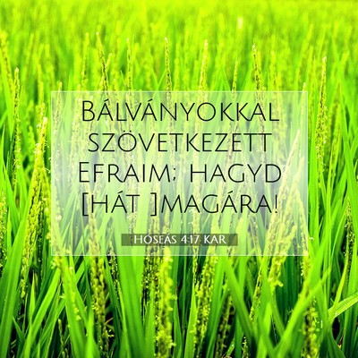 Hóseás 4:17 Bibliai vers magyarázata