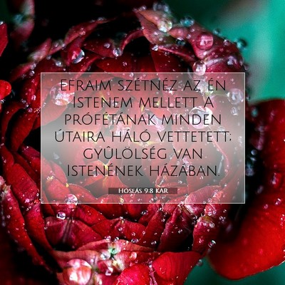 Hóseás 9:8 KAR Bibliai verskép