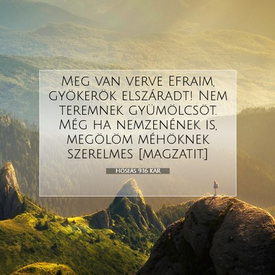 Hóseás 9:16 Bibliai vers magyarázata
