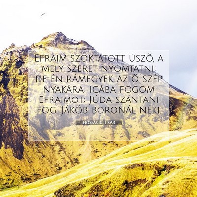 Hóseás 10:11 Bibliai vers magyarázata