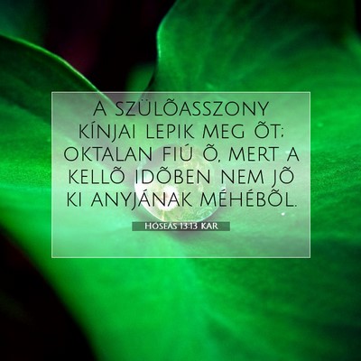 Hóseás 13:13 Bibliai vers magyarázata