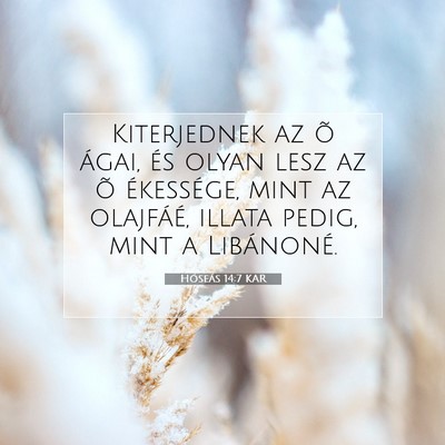 Hóseás 14:7 KAR Bibliai verskép