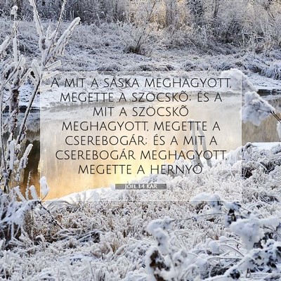 Jóel 1:4 Bibliai vers magyarázata