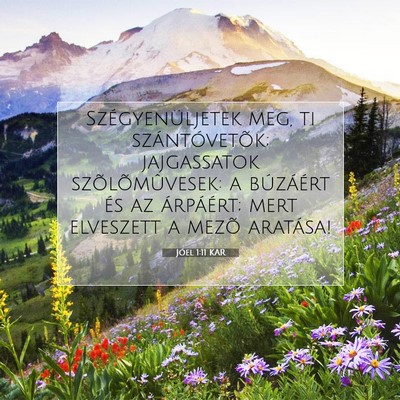 Jóel 1:11 Bibliai vers magyarázata