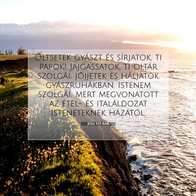Jóel 1:13 Bibliai vers magyarázata