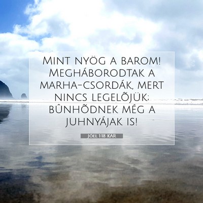 Jóel 1:18 Bibliai vers magyarázata