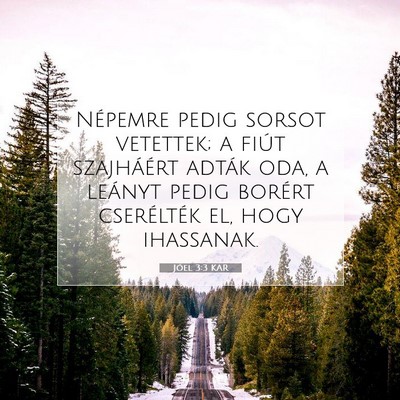 Jóel 3:3 Bibliai vers magyarázata
