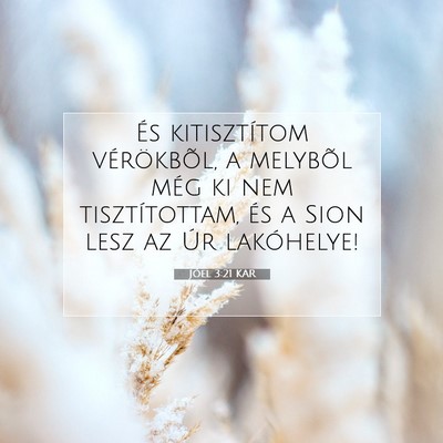 Jóel 3:21 Bibliai vers magyarázata