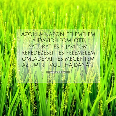 Ámos 9:11 KAR Bibliai verskép