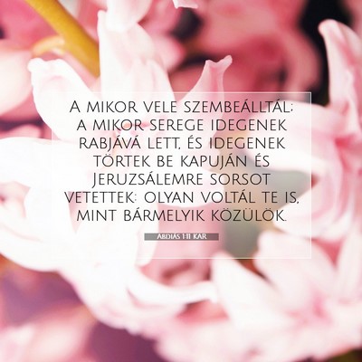 Abdiás 1:11 Bibliai vers magyarázata