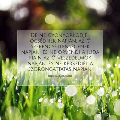 Abdiás 1:12 Bibliai vers magyarázata