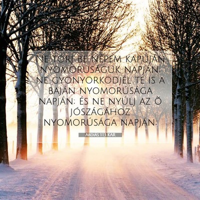 Abdiás 1:13 Bibliai vers magyarázata