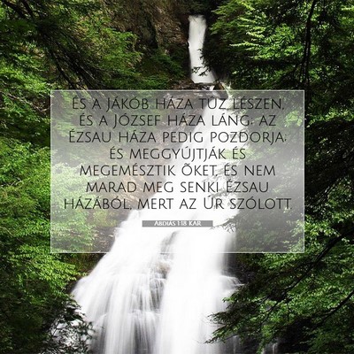 Abdiás 1:18 Bibliai vers magyarázata