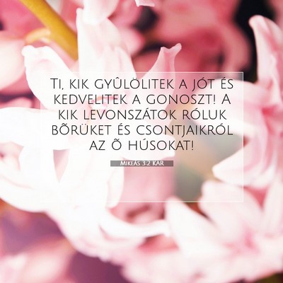 Mikeás 3:2 Bibliai vers magyarázata