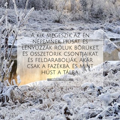 Mikeás 3:3 Bibliai vers magyarázata