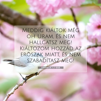 Habakuk 1:2 Bibliai vers magyarázata