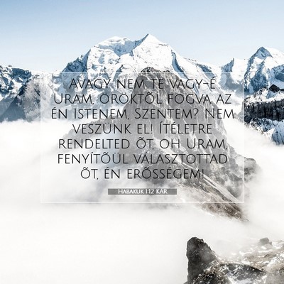 Habakuk 1:12 Bibliai vers magyarázata