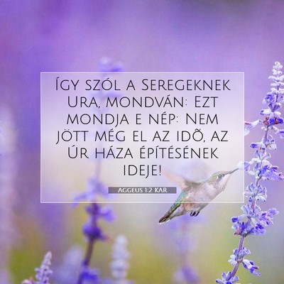 Aggeus 1:2 Bibliai vers magyarázata