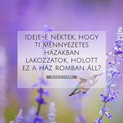 Aggeus 1:4 Bibliai vers magyarázata